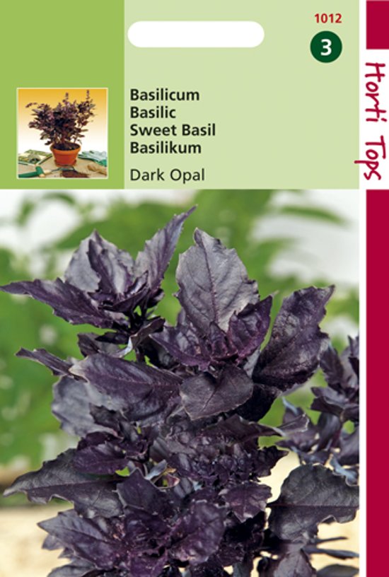 Basil Dark Opal (Ocimum basilicum) 900 seeds HT
